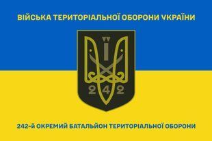 Прапор 242 окремий батальйон територіальної оборони синьо-жовтий 4.2.2.08.06.v2.03 фото
