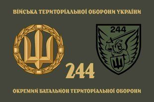 Прапор 244 ОБТрО (окремого батальйону тероборони) ЗСУ 4.2.2.01.06.v4.03 фото