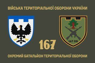 Прапор 167 окремий батальйон територіальної оборони 4.2.2.07.06.v1.03 фото