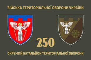 Прапор 250 окремий батальйон територіальної оборони 4.2.2.02.08.v1.03 фото
