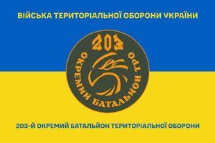 Прапор 203 окремий батальйон територіальної оборони синьо-жовтий 4.2.3.01.04.v2.03 фото
