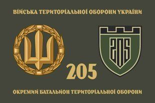 Прапор 205 ОБТрО (окремого батальйону тероборони) ЗСУ 4.2.2.08.03.v4.03 фото