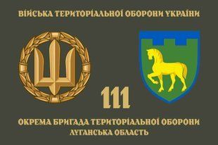 Прапор 111 ОБрТрО (окремої бригади тероборони) ЗСУ 4.2.3.04.v4.03 фото