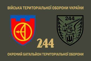 Прапор 244 окремий батальйон територіальної оборони 4.2.2.01.06.v1.03 фото