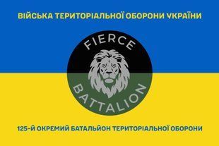 Прапор 125 окремий батальйон територіальної оборони синьо-жовтий 4.2.3.05.06.v2.03 фото