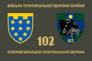 Прапор 102 окремий батальйон територіальної оборони 4.2.3.01.03.v1.03 фото