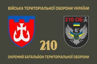 Прапор 210 окремий батальйон територіальної оборони 4.2.4.01.03.v1.03 фото