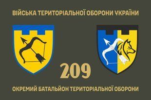 Прапор 209 окремий батальйон територіальної оборони 4.2.3.05.07.v1.03 фото