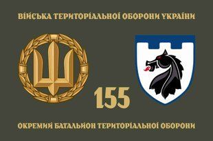 Флаг 155 ОБТрО (отдельного батальона теробороны) ВСУ 4.2.2.05.06.v4.03 фото