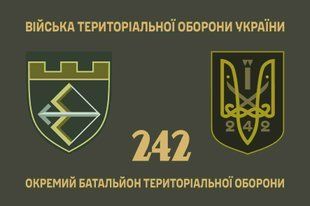 Прапор 242 окремий батальйон територіальної оборони 4.2.2.08.06.v1.03 фото