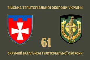 Прапор 61 окремий батальйон територіальної оборони 4.2.5.05.05.v1.03 фото