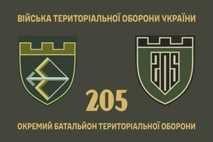Прапор 205 окремий батальйон територіальної оборони 4.2.2.08.03.v1.03 фото