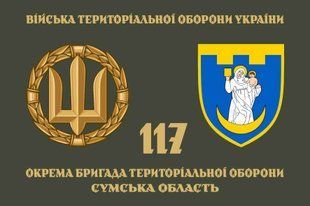 Флаг 117 ОБрТрО (отдельная бригада теробороны) ВСУ 4.2.2.05.v4.03 фото