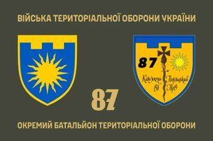 Прапор 87 окремий батальйон територіальної оборони 4.2.5.07.02.v1.03 фото