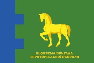 Прапор 111 окрема бригада територіальної оборони 4.2.3.04.v1.03 фото