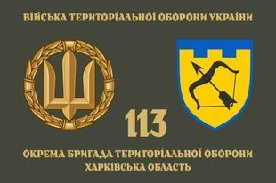 Прапор 113 ОБрТрО (окремої бригади тероборони) ЗСУ 4.2.3.05.v4.03 фото