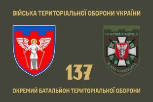 Прапор 137 окремий батальйон територіальної оборони ім. Петра Калнишевського 4.2.2.02.05.v1.03 фото