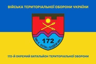 Прапор 172 окремий батальйон територіальної оборони синьо-жовтий 4.2.4.01.02.v2.03 фото