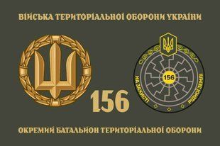 Флаг 156 ОБТрО (отдельного батальона теробороны) ВСУ 4.2.2.06.01.v4.03 фото