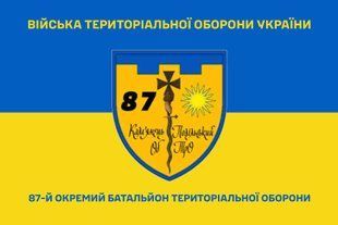 Прапор 87 окремий батальйон територіальної оборони синьо-жовтий 4.2.5.07.02.v2.03 фото