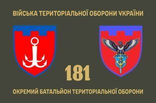 Прапор 181 окремий батальйон територіальної оборони 4.2.4.03.02.v1.03 фото