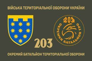 Прапор 203 окремий батальйон територіальної оборони 4.2.3.01.04.v1.03 фото