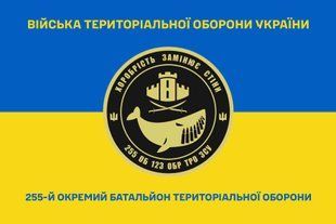 Прапор 255 окремий батальйон територіальної оборони синьо-жовтий 4.2.4.04.06.v2.03 фото