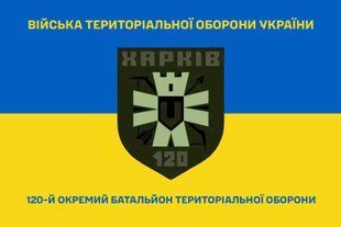 Прапор 120 окремий батальйон територіальної оборони синьо-жовтий 4.2.3.05.01.v2.03 фото