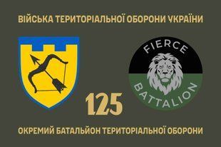 Прапор 125 окремий батальйон територіальної оборони 4.2.3.05.06.v1.03 фото