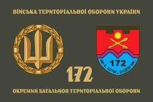 Прапор 172 ОБТрО (окремого батальйону тероборони) ЗСУ 4.2.4.01.02.v4.03 фото