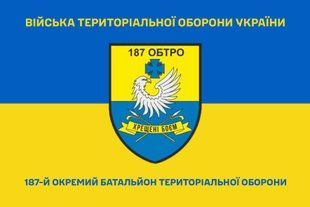 Прапор 187 окремий батальйон територіальної оборони синьо-жовтий 4.2.4.04.03.v2.03 фото