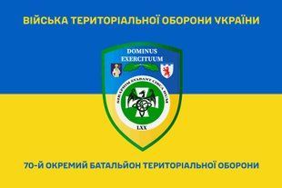 Прапор 70 окремий батальйон територіальної оборони синьо-жовтий 4.2.5.02.03.v2.03 фото