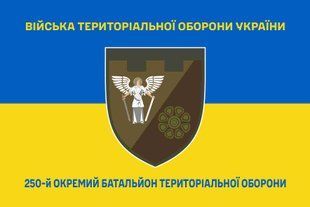 Прапор 250 окремий батальйон територіальної оборони синьо-жовтий 4.2.2.02.08.v2.03 фото