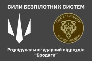 Прапор Розвідувально-ударний підрозділ "Бродяги" ЗСУ 4.2.2.09.01.v4.03 фото