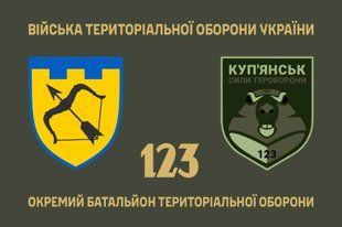 Прапор 123 окремий батальйон територіальної оборони 4.2.3.05.04.v1.03 фото