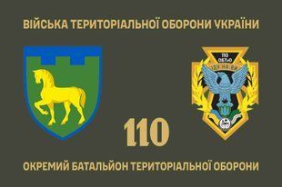 Прапор 110 окремий батальйон територіальної оборони 4.2.3.04.01.v1.03 фото