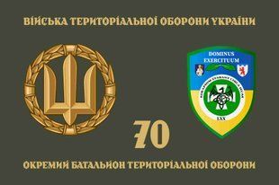 Прапор 70 ОБТрО (окремого батальйону тероборони) ЗСУ 4.2.5.02.03.v4.03 фото