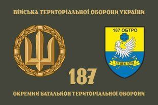Прапор 187 ОБТрО (окремого батальйону тероборони) ЗСУ 4.2.4.04.03.v4.03 фото