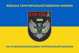 Прапор 210 окремий батальйон територіальної оборони синьо-жовтий 4.2.4.01.03.v2.03 фото