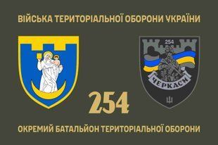 Флаг 254 отдельный батальон территориальной обороны 4.2.2.06.06.v1.03 фото