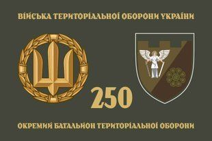 Прапор 250 ОБТрО (окремого батальйону тероборони) ЗСУ 4.2.2.02.08.v4.03 фото
