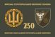 Флаг 250 ОБТрО (отдельного батальона теробороны) ВСУ 4.2.2.02.08.v4.03 фото 1