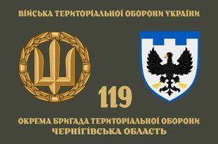 Флаг 119 ОБрТрО (отдельная бригада теробороны) ВСУ 4.2.2.07.v4.03 фото