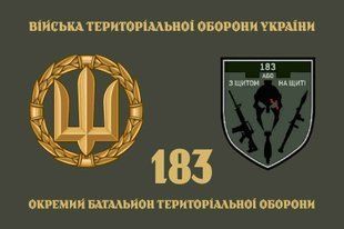 Прапор 183 ОБТрО (окремого батальйону тероборони) ЗСУ 4.2.4.03.04.v4.03 фото