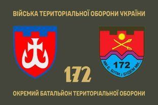 Прапор 172 окремий батальйон територіальної оборони 4.2.4.01.02.v1.03 фото