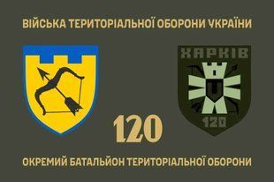 Прапор 120 окремий батальйон територіальної оборони 4.2.3.05.01.v1.03 фото