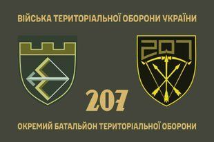 Прапор 207 окремий батальйон територіальної оборони 4.2.2.08.05.v1.03 фото