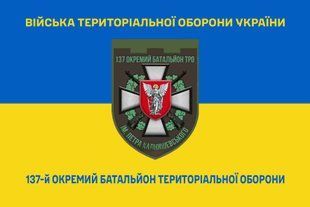 Прапор 137 окремий батальйон територіальної оборони синьо-жовтий 4.2.2.02.05.v2.03 фото