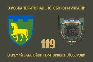 Прапор 119 окремий батальйон територіальної оборони 4.2.3.04.02.v1.03 фото