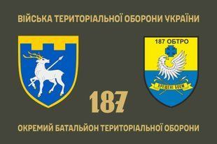 Прапор 187 окремий батальйон територіальної оборони 4.2.4.04.03.v1.03 фото